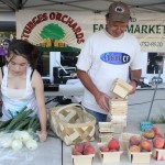 IMG_6223 IMG_6223